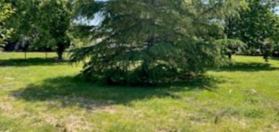 Terrain à Bessières en Haute-Garonne (31) de 700 m² à vendre au prix de 85000€ - 3