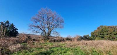 Terrain à Saint-Césaire-de-Gauzignan en Gard (30) de 0 m² à vendre au prix de 103000€ - 2