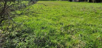 Terrain à Mirebeau en Vienne (86) de 0 m² à vendre au prix de 15000€ - 3