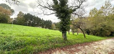 Terrain à Bon-Encontre en Lot-et-Garonne (47) de 0 m² à vendre au prix de 11000€ - 4