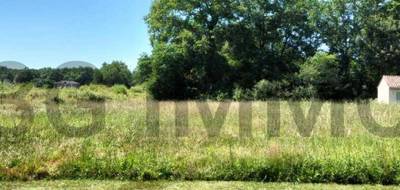 Terrain à Villeneuve-de-Marsan en Landes (40) de 0 m² à vendre au prix de 79000€ - 1