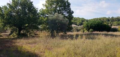 Terrain à Le Pouget en Hérault (34) de 2350 m² à vendre au prix de 299900€ - 1