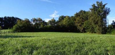 Terrain à L'Isle-Jourdain en Gers (32) de 0 m² à vendre au prix de 92000€ - 1