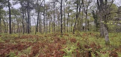 Terrain à Barbaste en Lot-et-Garonne (47) de 48400 m² à vendre au prix de 48400€ - 3