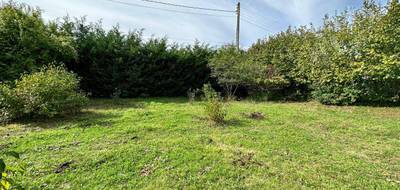 Terrain à Souppes-sur-Loing en Seine-et-Marne (77) de 0 m² à vendre au prix de 55000€ - 1