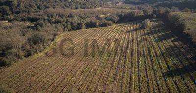 Terrain à Le Bosc en Hérault (34) de 0 m² à vendre au prix de 112000€ - 3