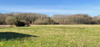 Terrain à Amou en Landes (40) de 0 m² à vendre au prix de 55000€ - 3