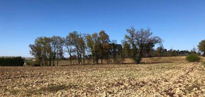 Terrain à Momuy en Landes (40) de 0 m² à vendre au prix de 27500€ - 3