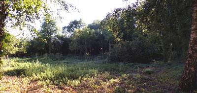 Terrain à Lachapelle-aux-Pots en Oise (60) de 1700 m² à vendre au prix de 54000€ - 3