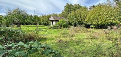 Terrain à Souppes-sur-Loing en Seine-et-Marne (77) de 0 m² à vendre au prix de 39000€ - 3