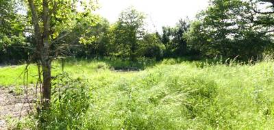 Terrain à Dogneville en Vosges (88) de 1037 m² à vendre au prix de 65000€ - 3