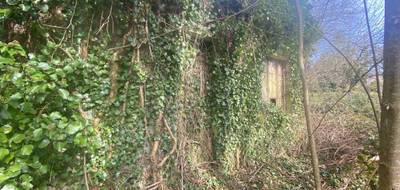 Terrain à Le Plessis-Dorin en Loir-et-Cher (41) de 0 m² à vendre au prix de 16000€ - 4
