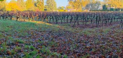 Terrain à Grézillac en Gironde (33) de 12636 m² à vendre au prix de 399000€ - 2