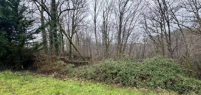 Terrain à Escalans en Landes (40) de 76385 m² à vendre au prix de 75000€ - 4