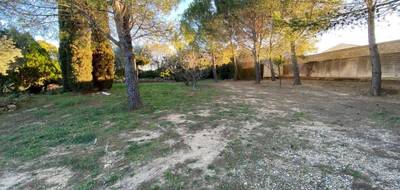 Terrain à Abeilhan en Hérault (34) de 1000 m² à vendre au prix de 149000€ - 4