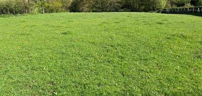 Terrain à Manot en Charente (16) de 0 m² à vendre au prix de 16500€ - 2