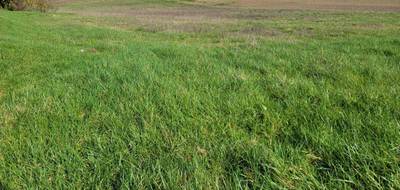 Terrain à Mirebeau en Vienne (86) de 0 m² à vendre au prix de 28000€ - 2