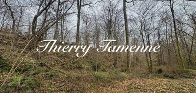 Terrain à Escalans en Landes (40) de 76385 m² à vendre au prix de 75000€ - 1