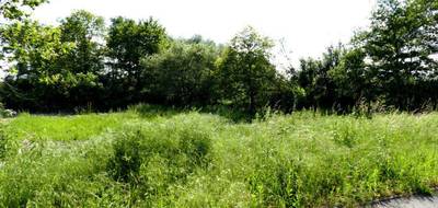Terrain à Dogneville en Vosges (88) de 0 m² à vendre au prix de 65000€ - 2