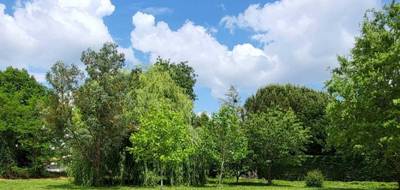 Terrain à Sainte-Foy-d'Aigrefeuille en Haute-Garonne (31) de 0 m² à vendre au prix de 148000€ - 3