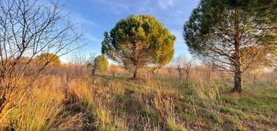 Terrain à Paulhan en Hérault (34) de 0 m² à vendre au prix de 229950€ - 4