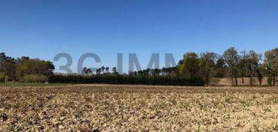 Terrain à Momuy en Landes (40) de 0 m² à vendre au prix de 27500€ - 1