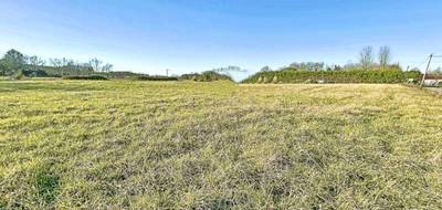Terrain à Arsague en Landes (40) de 0 m² à vendre au prix de 24500€ - 3