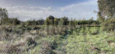 Terrain à Peyre en Landes (40) de 0 m² à vendre au prix de 55000€ - 2