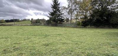 Terrain à Rozier-Côtes-d'Aurec en Loire (42) de 0 m² à vendre au prix de 40000€ - 2