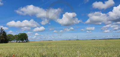 Terrain à Angliers en Vienne (86) de 0 m² à vendre au prix de 87300€ - 2