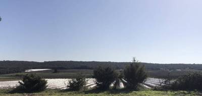 Terrain à Sanilhac-Sagriès en Gard (30) de 490 m² à vendre au prix de 117000€ - 1