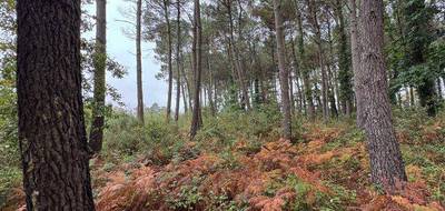 Terrain à Escalans en Landes (40) de 0 m² à vendre au prix de 65000€ - 4