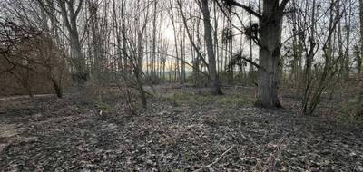 Terrain à Houdan en Yvelines (78) de 0 m² à vendre au prix de 32000€ - 4