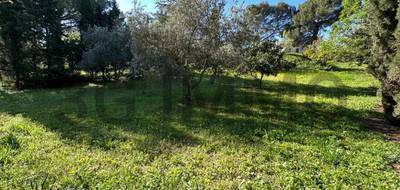 Terrain à Margon en Hérault (34) de 1235 m² à vendre au prix de 129000€ - 3