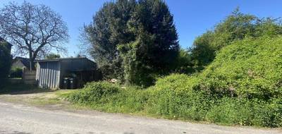 Terrain à Tuffalun en Maine-et-Loire (49) de 0 m² à vendre au prix de 21000€ - 4