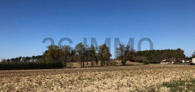 Terrain à Momuy en Landes (40) de 0 m² à vendre au prix de 27500€ - 2