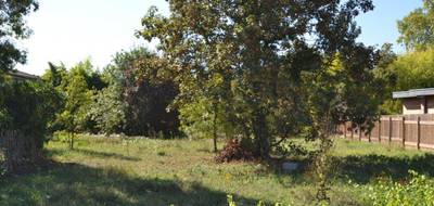 Terrain à Podensac en Gironde (33) de 0 m² à vendre au prix de 167000€ - 1