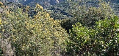 Terrain à Ocana en Corse-du-Sud (2A) de 0 m² à vendre au prix de 135000€ - 3