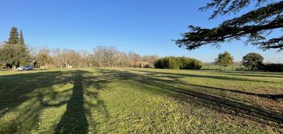 Terrain à Saint-Jean-de-Rives en Tarn (81) de 0 m² à vendre au prix de 95000€ - 1