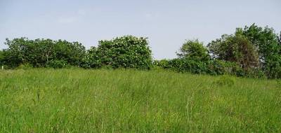 Terrain à L'Isle-Jourdain en Gers (32) de 0 m² à vendre au prix de 133000€ - 4