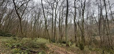Terrain à Escalans en Landes (40) de 76385 m² à vendre au prix de 75000€ - 2