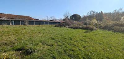 Terrain à Castres en Tarn (81) de 0 m² à vendre au prix de 40000€ - 2