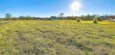 Terrain à Arsague en Landes (40) de 0 m² à vendre au prix de 24500€ - 2