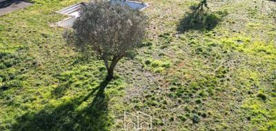 Terrain à Saint-Brès en Hérault (34) de 0 m² à vendre au prix de 319900€ - 1