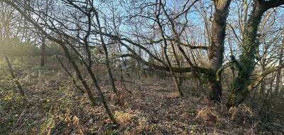 Terrain à Roquefort en Lot-et-Garonne (47) de 0 m² à vendre au prix de 81000€ - 4