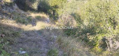 Terrain à Lantosque en Alpes-Maritimes (06) de 4400 m² à vendre au prix de 14500€ - 2