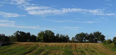 Terrain à L'Isle-Jourdain en Gers (32) de 0 m² à vendre au prix de 96000€ - 3