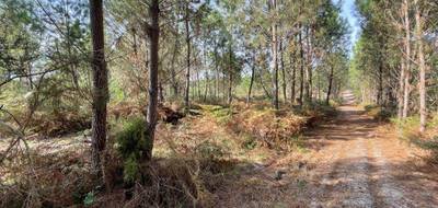 Terrain à Barbaste en Lot-et-Garonne (47) de 0 m² à vendre au prix de 29000€ - 3