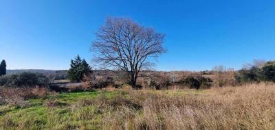 Terrain à Saint-Césaire-de-Gauzignan en Gard (30) de 0 m² à vendre au prix de 103000€ - 3