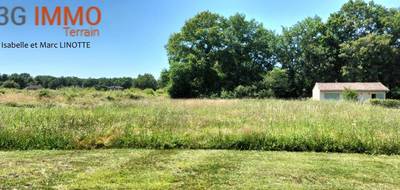 Terrain à Saint-Gein en Landes (40) de 0 m² à vendre au prix de 40000€ - 3